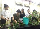 Nhật Bản tạm dừng cấp visa mới để kiểm soát dịch bệnh