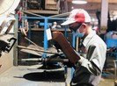 Thị trường lao động có dấu hiệu phục hồi