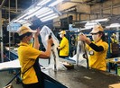 Phụ nữ làm việc nhiều nhưng thu nhập lại thấp hơn nam giới
