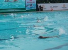 TP.HCM: 667 học sinh tranh tài bơi lội