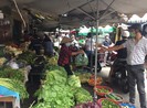 Rau quả thu mua tại vườn tăng giá gấp bốn lần