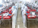 Việt Nam kháng kiện thành công 65 vụ việc