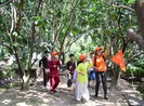 Khách đồng loạt huỷ tour tết, du lịch TP.HCM kêu cứu