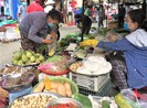 Giá nấm rơm tăng vọt lên 200.000 đồng/kg ngày rằm tháng giêng