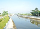 Ban quản lý quận 12 thiếu sót, làm tăng chi phí hơn 1,5 tỉ
