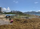 Khánh Hòa ra 'tối hậu thư' cho dự án Nha Trang Sao