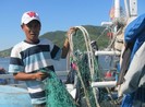 Xác minh thông tin tàu cá Đà Nẵng bị tàu treo cờ Trung Quốc uy hiếp