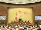 Quốc hội không đồng ý để Bộ Công an cấp giấy phép lái xe
