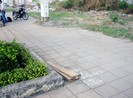 Phát hiện xác thanh niên ngay bên vệ đường