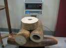 Đại diện Việt Nam nhận giải thưởng thực thi pháp luật về môi trường Châu Á