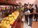 Mất mùa vì hạn mặn, Bến Tre không tổ chức lễ hội cây trái ngon
