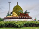 Bến Tre có huyện đầu tiên đạt chuẩn Nông thôn mới