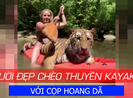 Người đẹp chèo Kayak với cọp hoang dã