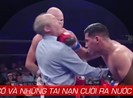 Võ đài UFC: Đấm luôn cả trọng tài