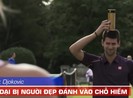 Novak Djokovic chơi dại bị người đẹp đánh nhầm chỗ hiểm