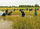 Chủ tịch Cà Mau chỉ đạo hạn chế tiệc tùng để lo cho dân