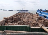Cần Thơ: bắt 7 sà lan khai thác đất sét trên sông Hậu