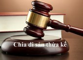 Bị mẹ kiện ra tòa, con trai phản tố đòi chia thừa kế