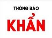 Khẩn: Những ai dự 3 đám cưới này ở Hải Dương cần khai báo ngay