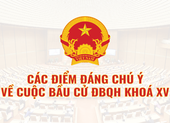 Infographic: Thông tin đáng chú ý về bầu cử Quốc hội khóa XV