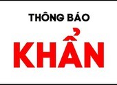 Bộ Y tế thông báo khẩn