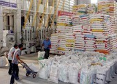 Chính phủ chỉ đạo cấp miễn phí hơn 4.000 tấn gạo cho người dân 3 tỉnh