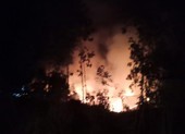 Lửa cháy xuyên đêm ở Quảng Ngãi thiêu hơn 30 ha rừng