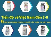 Tiến độ 6 loại vaccine Việt Nam cấp phép đã về được bao nhiêu?