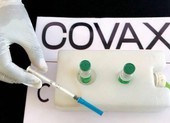 Chương trình COVAX Facility dành ưu tiên phân bổ vaccine cho Việt Nam