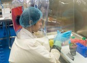 Viện Virus học Vũ Hán, WHO bị tấn công mạng