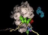 Giới khoa học Thụy Sĩ tìm ra 'tử huyệt' của virus SARS-CoV-2