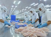 Trung Quốc siết chặt kiểm tra thủy sản đông lạnh nhập khẩu