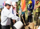 Thủ tướng có thư khen Bến Tre trồng 10 triệu cây xanh