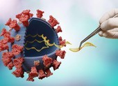 Bộ Y tế bác thông tin virus COVID-19 nhiễm phóng xạ, gây đông máu