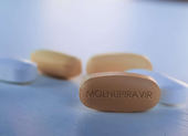 Kết quả thí điểm điều trị cho bệnh nhân COVID-19 bằng thuốc Molnupiravir