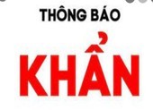 Khẩn: Ai đến chợ đầu mối Hóc Môn, Bình Điền và Sơn Kỳ cần khai báo y tế