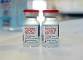 TP.HCM trả lời Bộ Y tế về việc mua 5 triệu liều vaccine Moderna