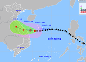 Bão số 5 cách bờ biển Quảng Trị-Quảng Nam khoảng 230 km