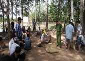 Bắt 36 người tụ tập đá gà ở vườn sao tại TP Long Xuyên