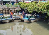 Nguyên nhân cá chết hàng loạt trên kênh Nhiêu Lộc-Thị Nghè