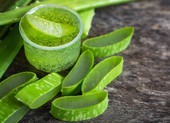 Cách làm nước rửa tay kháng khuẩn từ nha đam, giấm và tinh dầu