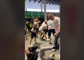 Hooligan Anh đánh dã man CĐV Ý tại sân Wembley