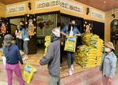 Hoa hậu Tiểu Vy trao tặng 1.000kg gạo cho người nghèo ở Hội An