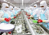 Đại gia Việt tự làm container, cạnh tranh với Trung Quốc
