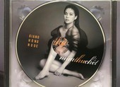 Giang Hồng Ngọc gửi lời xin lỗi các nhạc sĩ thế hệ trước