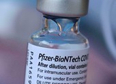 FDA Mỹ cấp phép tiêm vaccine của Pfizer-BioNTech mũi 3 cho nhóm nguy cơ cao