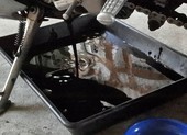 Cách thay nhớt xe máy tại nhà trong mùa dịch COVID-19