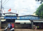 Chợ hoa Đầm Sen tạm dừng hoạt động