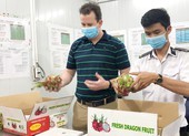 Nông sản Việt bán sang Mỹ vượt Trung Quốc