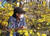 Chợ hoa Tết lớn nhất Đà Nẵng ế ẩm chưa từng thấy